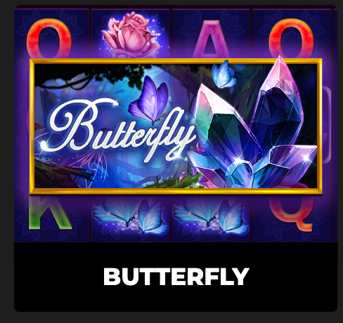 butterfly